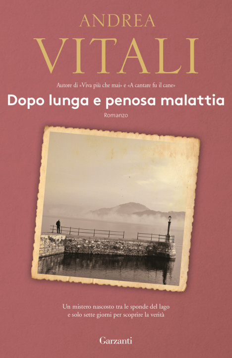 Buch Dopo lunga e penosa malattia Andrea Vitali