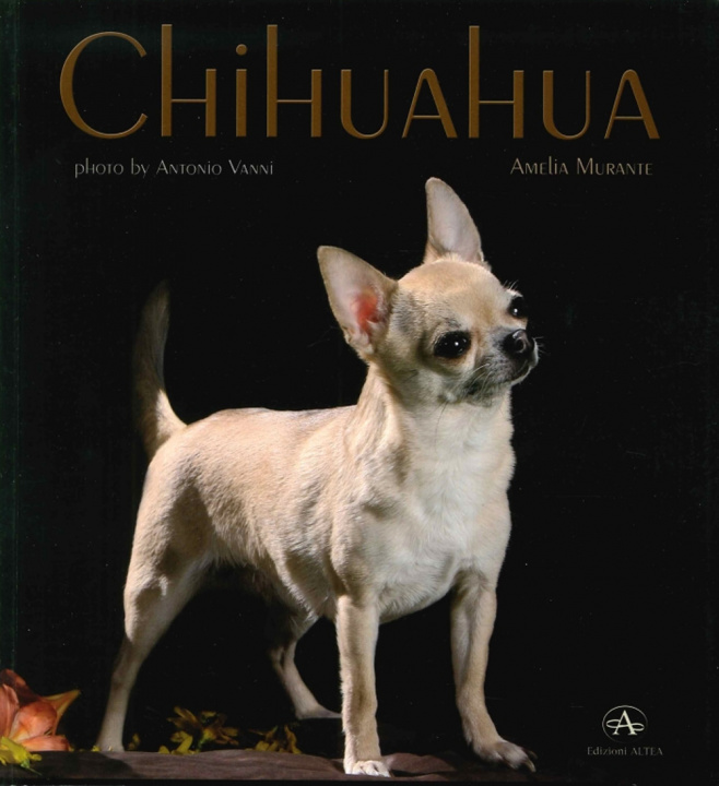 Kniha Chihuahua Amelia Murante