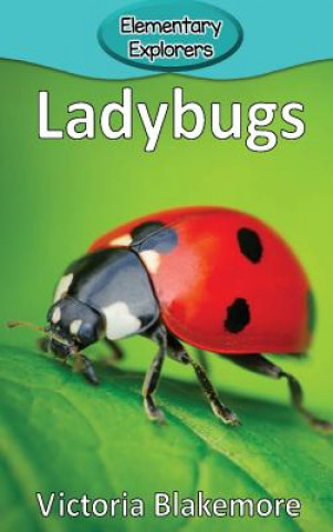 Book Ladybugs Victoria Blakemore