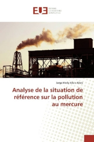 Carte Analyse de la situation de référence sur la pollution au mercure Serge Molly Allo'o Allo'o