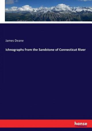 Kniha Ichnographs from the Sandstone of Connecticut River Deane James Deane