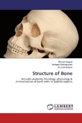 Knjiga Structure of Bone Bhuvan Nagpal