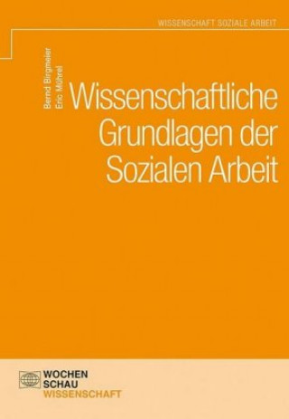 Könyv Wissenschaftliche Grundlagen der Sozialen Arbeit Bernd Birgmeier