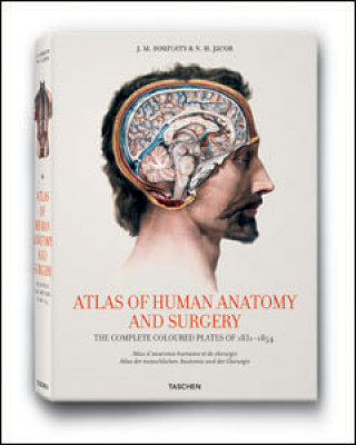 Kniha Anatomy Atlas XL Jean-Marie Le Minor