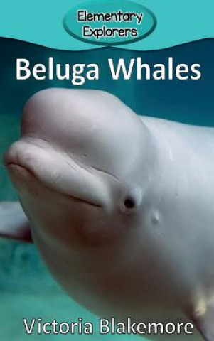 Kniha Beluga Whales Victoria Blakemore