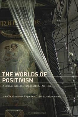 Книга Worlds of Positivism Johannes Feichtinger