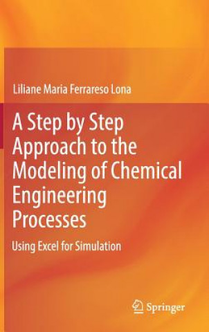 Könyv Step by Step Approach to the Modeling of Chemical Engineering Processes Liliane Maria Ferrareso Lona