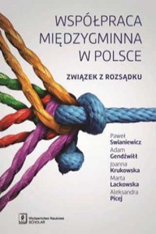 Könyv Współpraca międzygminna w Polsce Swianiewicz Paweł