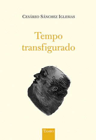 Kniha Tempo Transfigurado CESAREO SANCHEZ IGLESIAS