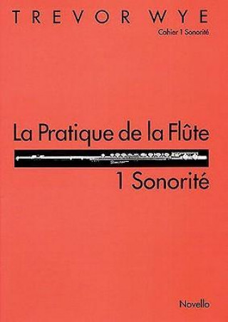 Książka La Pratique De La Flute Trevor Wye