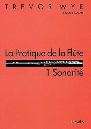 Kniha La Pratique De La Flute Trevor Wye