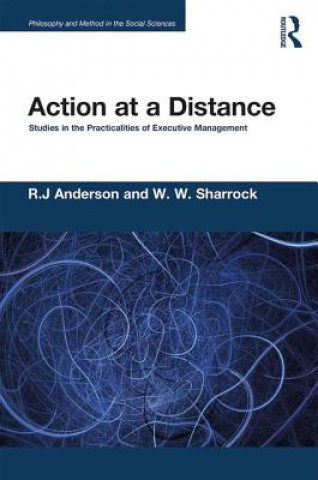 Kniha Action at a Distance R J Anderson