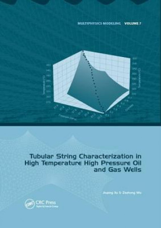 Kniha Tubular String Characterization in High Temperature High Pressure Oil and Gas Wells XU