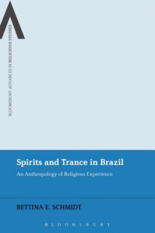 Könyv Spirits and Trance in Brazil Schmidt