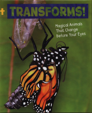 Knjiga It Transforms! POTTS  NIKKI