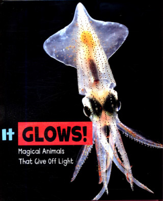 Knjiga It Glows! POTTS  NIKKI