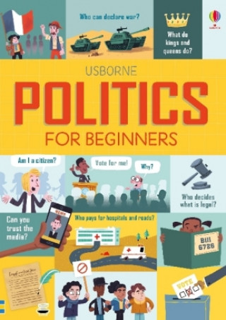 Könyv Politics for Beginners NOT KNOWN