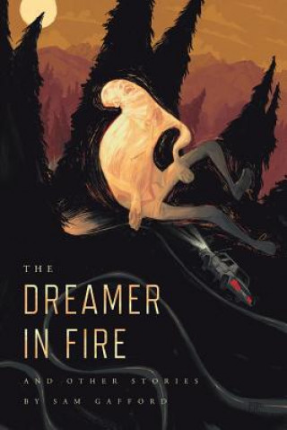 Knjiga Dreamer in Fire and Other Stories SAM GAFFORD