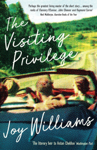 Kniha Visiting Privilege Joy Williams