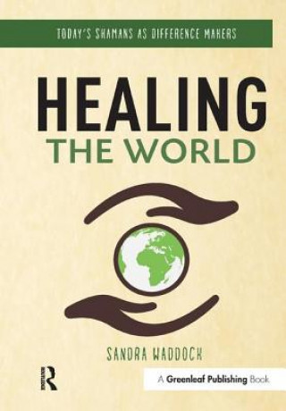 Könyv Healing the World Sandra Waddock