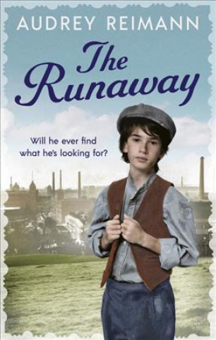 Knjiga Runaway Audrey Reimann