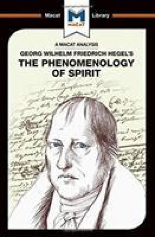 Książka Analysis of G.W.F. Hegel's Phenomenology of Spirit Jackson