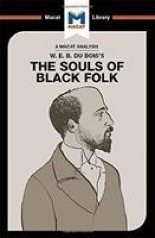 Kniha Analysis of W.E.B. Du Bois's The Souls of Black Folk XIDIAS