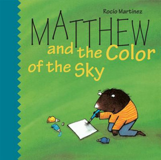 Kniha Matthew and the Color of the Sky Big Book Mcgraw-Hill Education