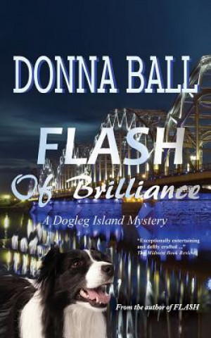 Книга Flash of Brilliance Donna Ball