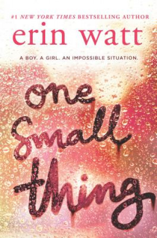 Book One Small Thing Erin Watt