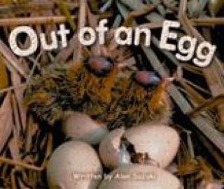 Carte Gear Up, (Level G) Out of an Egg, 6-Pack Mcgraw-Hill Education