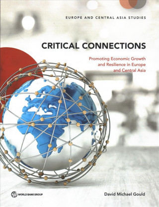 Buch Critical connections David Michael Gould