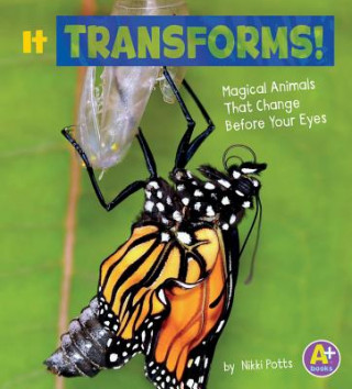 Kniha It Transforms!: Magical Animals That Change Before Your Eyes Nikki Potts