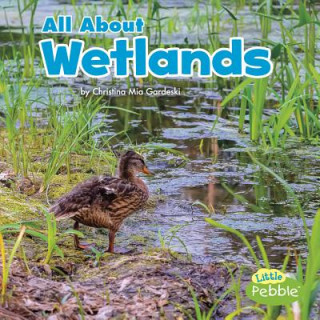 Libro All about Wetlands Christina Mia Gardeski