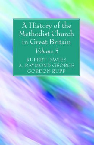 Kniha A History of the Methodist Church in Great Britain, Volume Three Rupert E. Davies