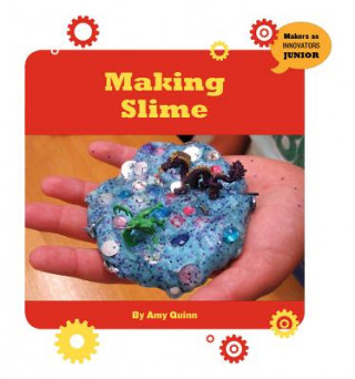 Buch Making Slime Amy Quinn