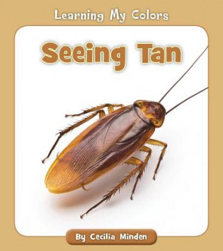 Könyv Seeing Tan Cecilia Minden