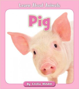 Buch Pig Cecilia Minden