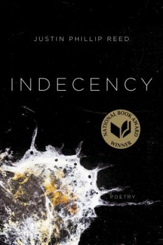 Knjiga Indecency Justin Phillip Reed