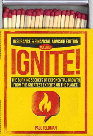 Kniha Ignite!: The Burning Secrets of Exponential Growth from the Greatest Experts on the Planet Paul Feldman