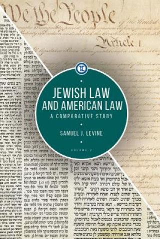 Libro Jewish Law and American Law, Volume 2 Samuel J. Levine