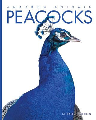 Knjiga Peacocks Valerie Bodden