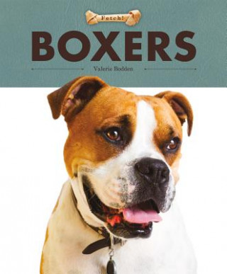 Könyv Boxers Valerie Bodden