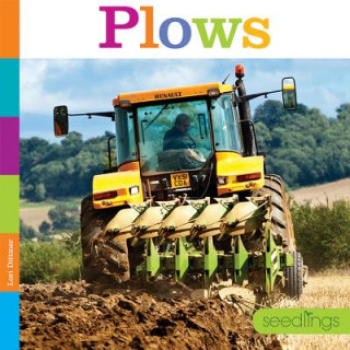 Buch Plows Lori Dittmer