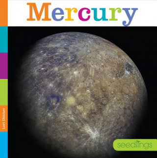 Libro Mercury Lori Dittmer