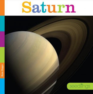 Książka Saturn Kate Riggs