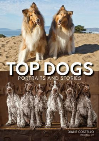 Książka Top Dogs: Portraits and Stories Diane Costello