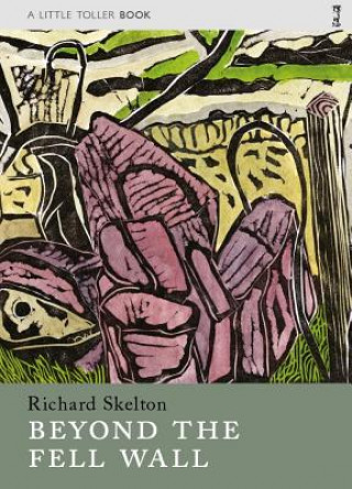 Buch Beyond the Fell Wall Richard Skelton