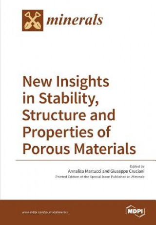 Könyv New Insights in Stability, Structure and Properties of Porous Materials 