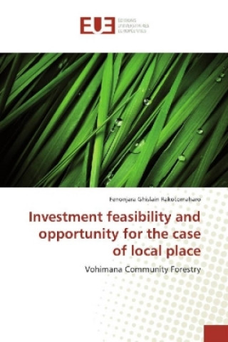 Книга Investment feasibility and opportunity for the case of local place Fenonjara Ghislain Rakotomaharo